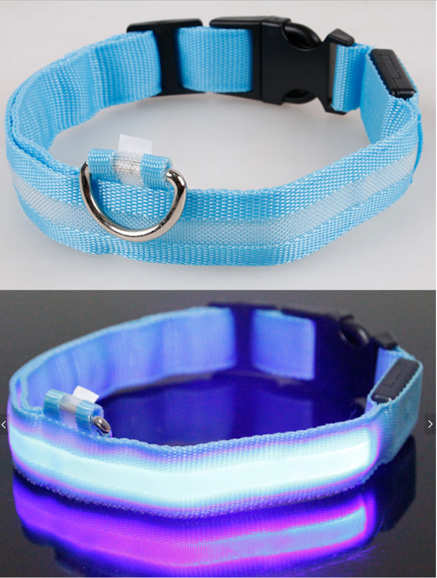 Lumilon - Collier Lumineux pour Chien et Chat