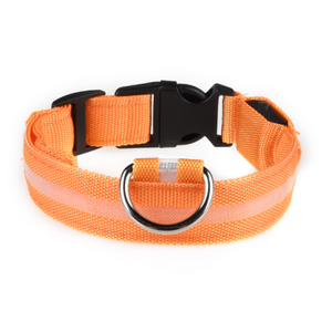 Lumilon - Collier Lumineux pour Chien et Chat