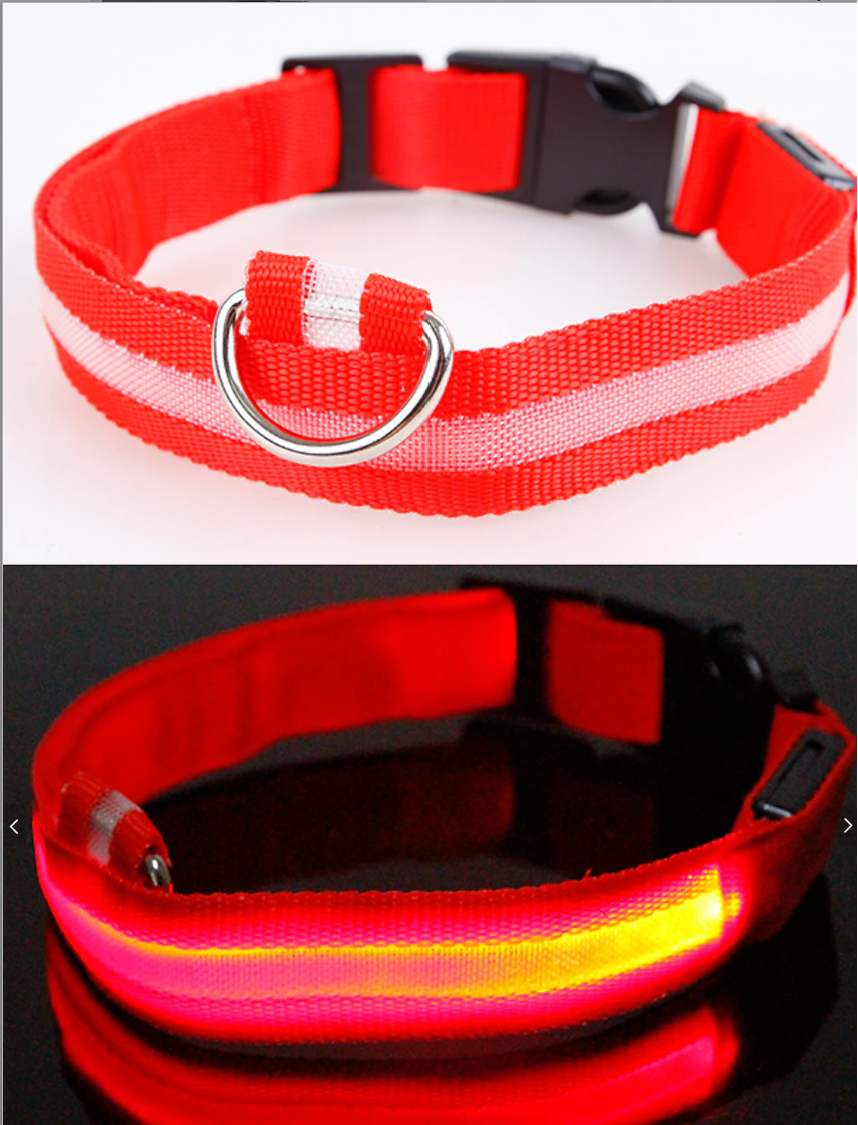 Lumilon - Collier Lumineux pour Chien et Chat