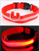 Charger l&#39;image dans la galerie, Lumilon - Collier Lumineux pour Chien et Chat
