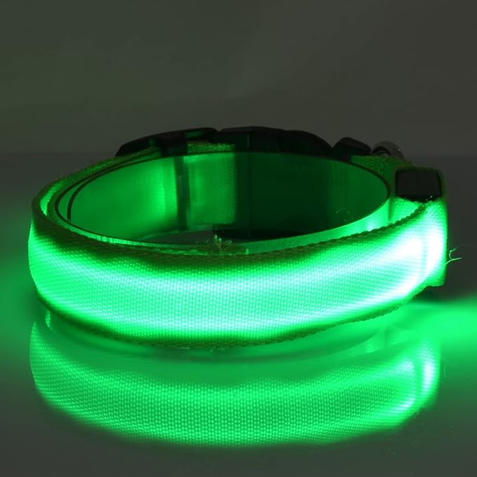 Lumilon - Collier Lumineux pour Chien et Chat