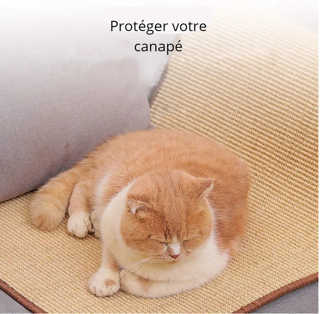 Kittyspets - Tapis de Protection Anti-griffures pour Canapé