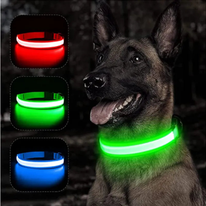 Lumilon - Collier Lumineux pour Chien et Chat