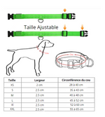 Charger l&#39;image dans la galerie, Lumilon - Collier Lumineux pour Chien et Chat
