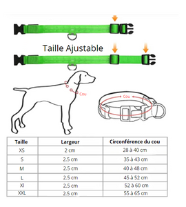 Lumilon - Collier Lumineux pour Chien et Chat