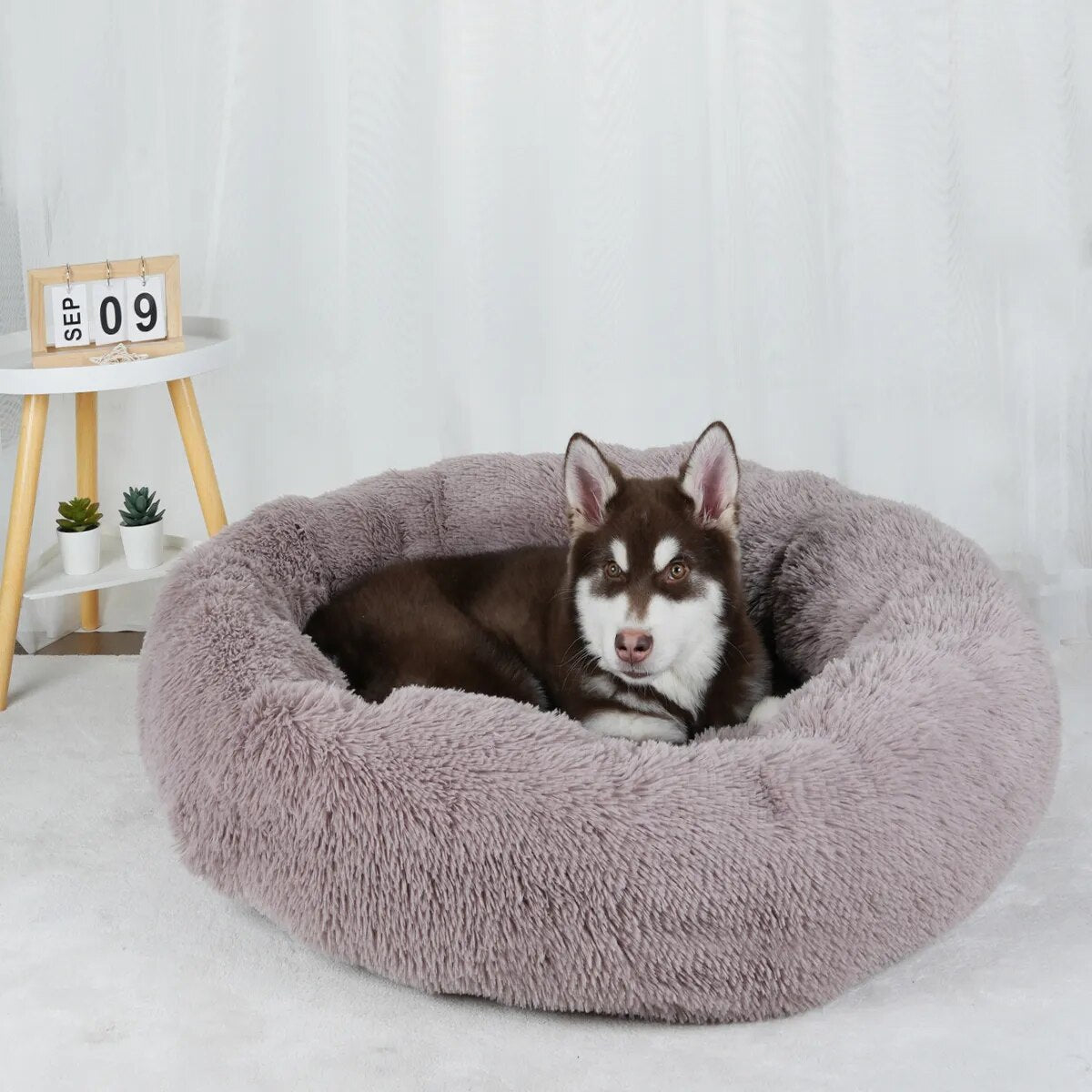 DODI - Le Lit Apaisant pour Chien et Chat