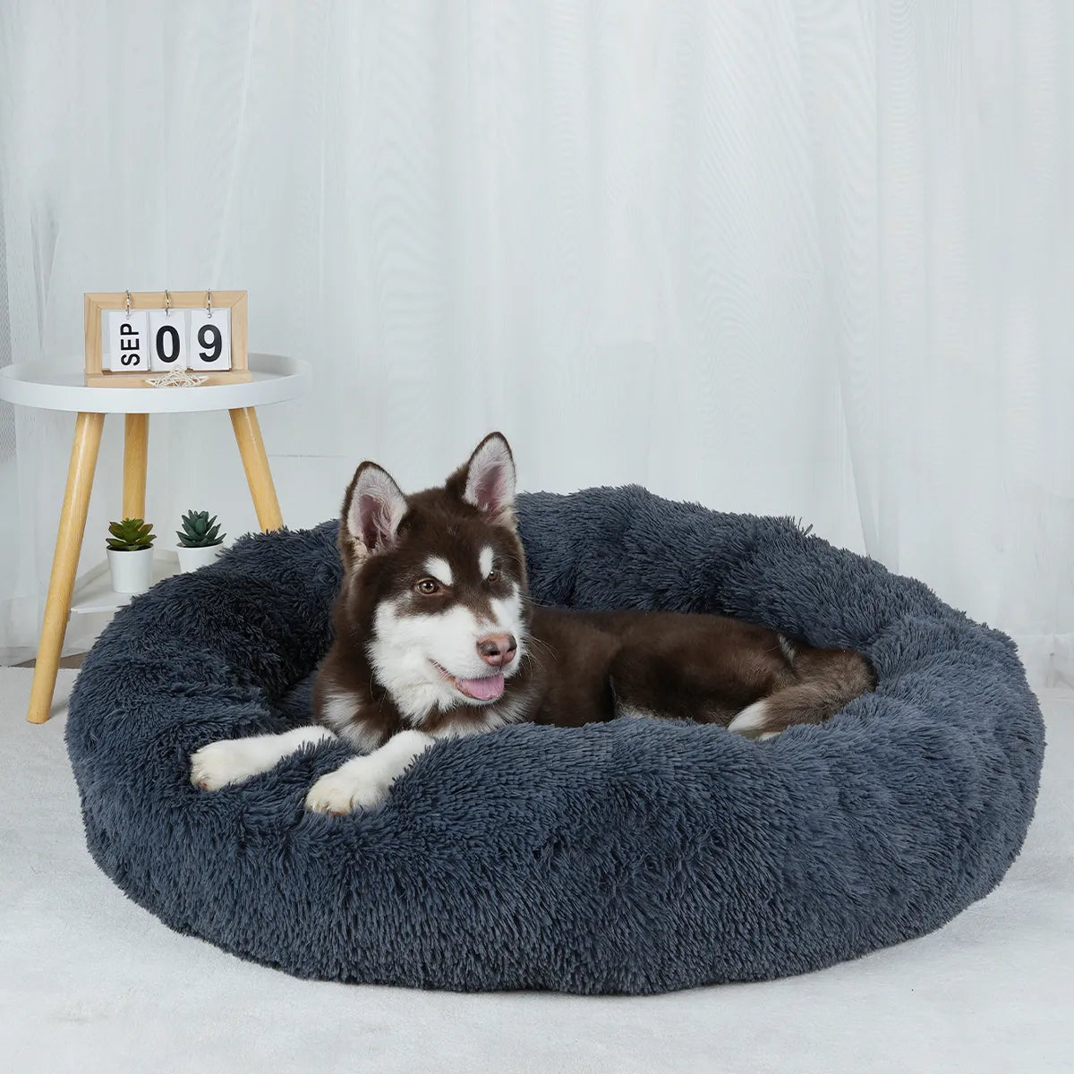 DODI - Le Lit Apaisant pour Chien et Chat