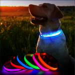 Charger l&#39;image dans la galerie, Lumilon - Collier Lumineux pour Chien et Chat
