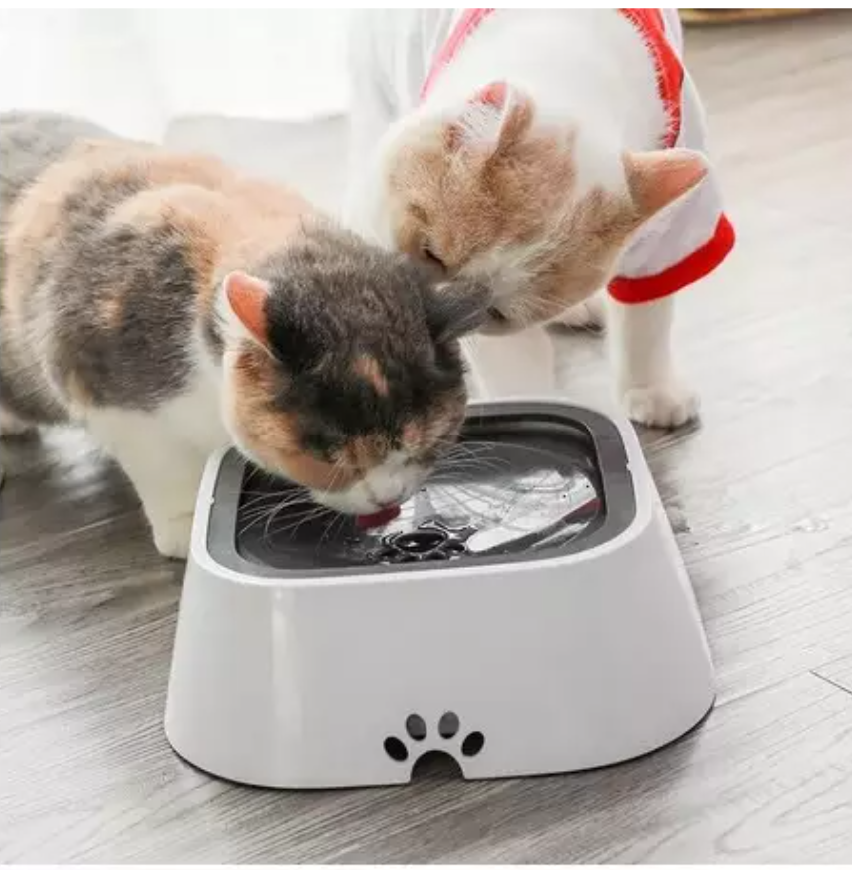 Gamelle Anti-Débordements pour chat/chien